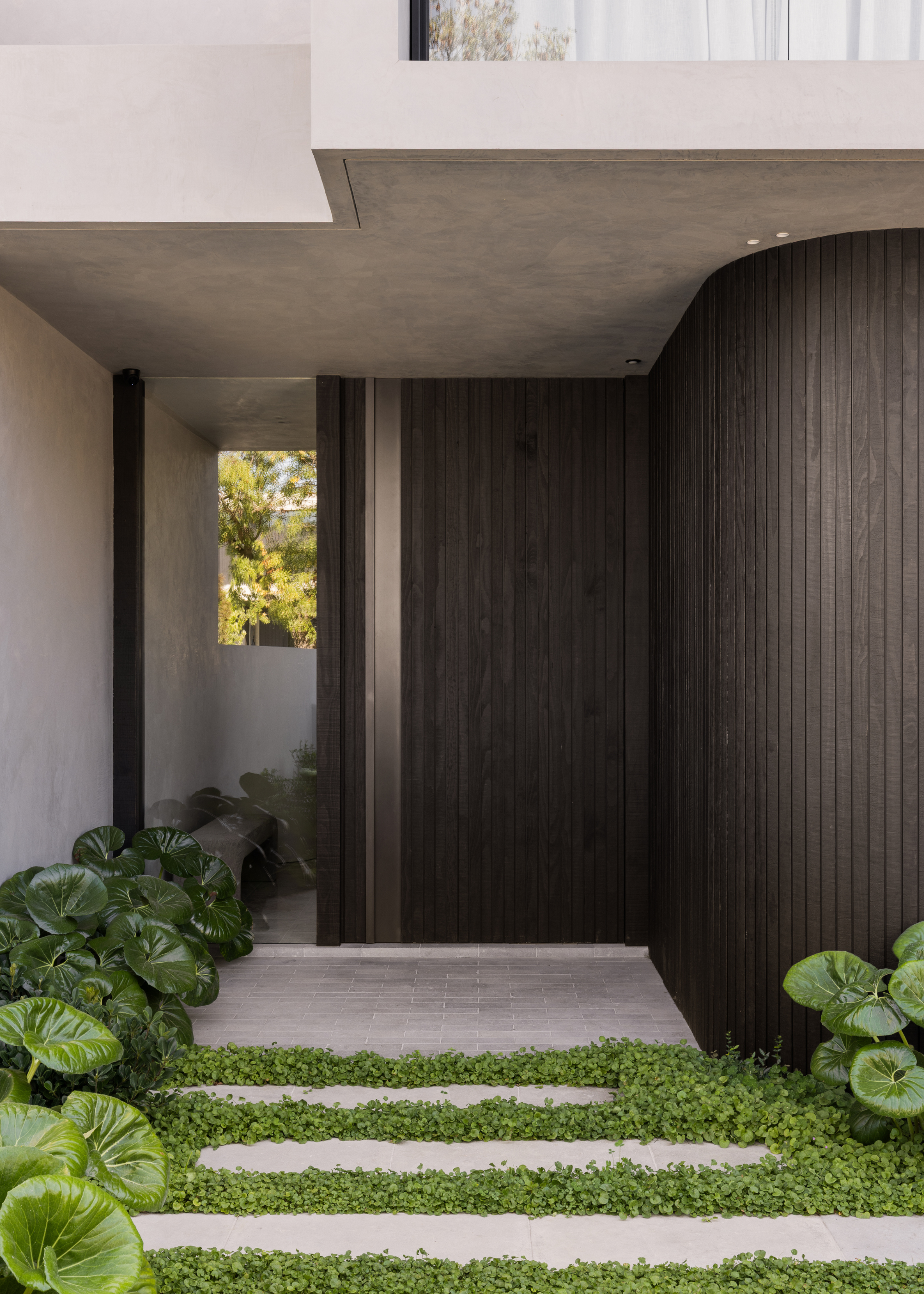 A front garden with cement steps, lush ground cover and glossy side plants