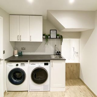 dog showering room with white wall washing machine wash basin and white cupboard