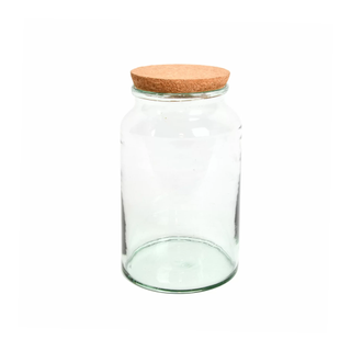 A glass terrarium jar