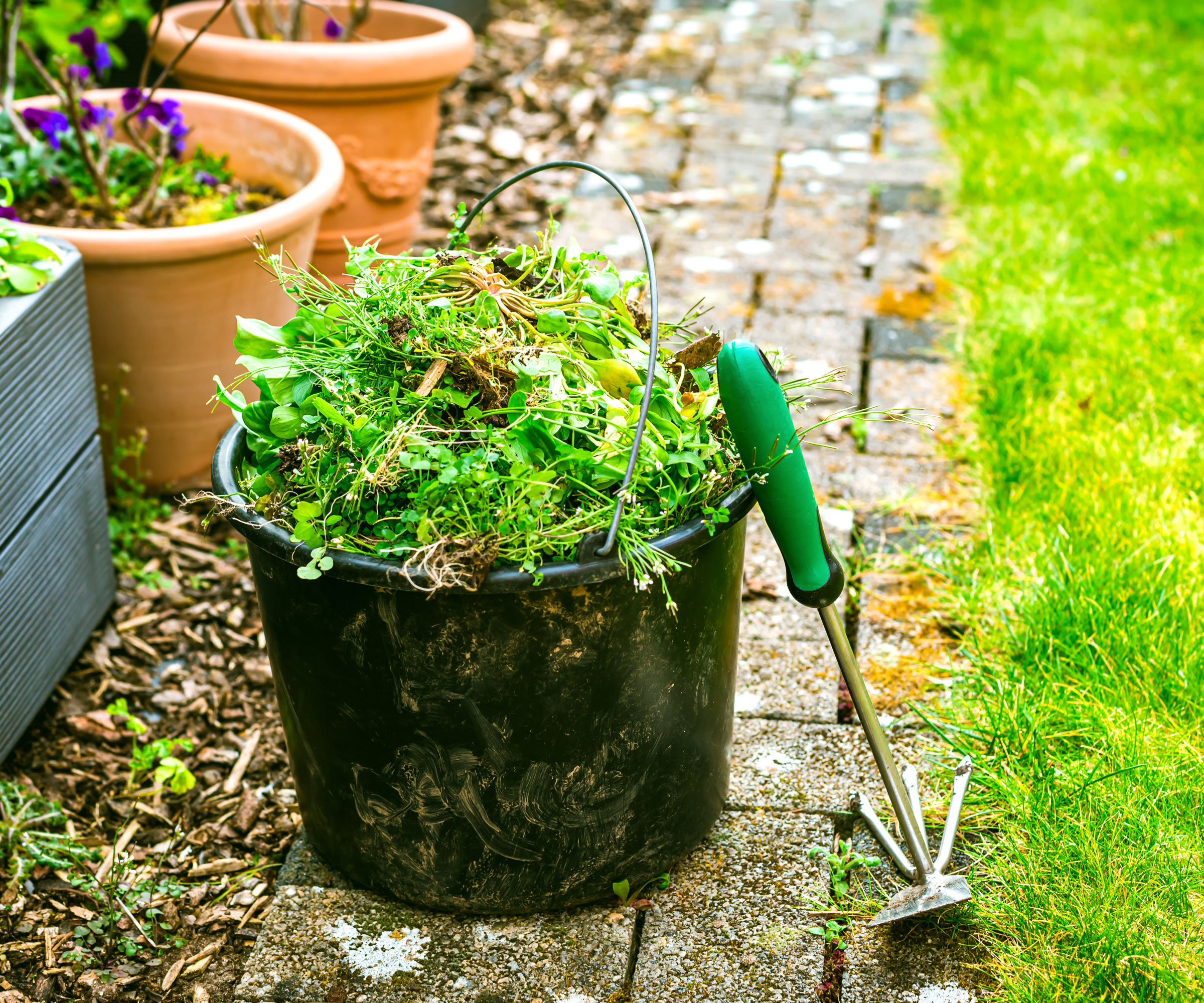 black bucket of weeds near trowel in garden