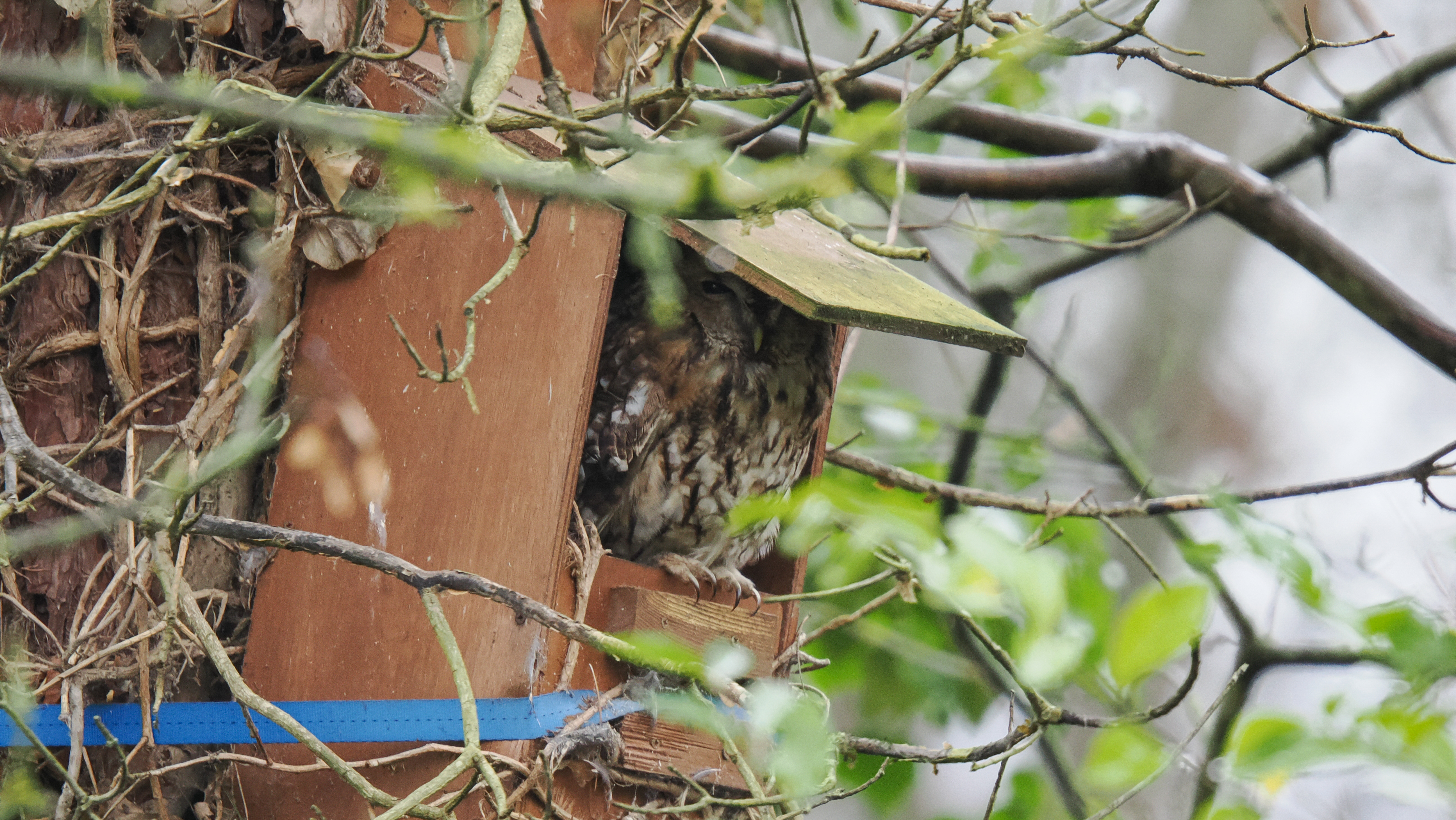 A photo taken on an OM System OM-1 Mark II Micro Four Thirds mirrorless camera