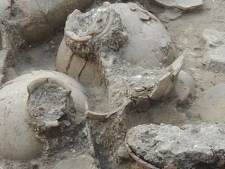 Wine jars in Canaanite cellar 