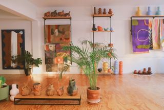 studio with plants and pots on wooden floor in mexico city studio