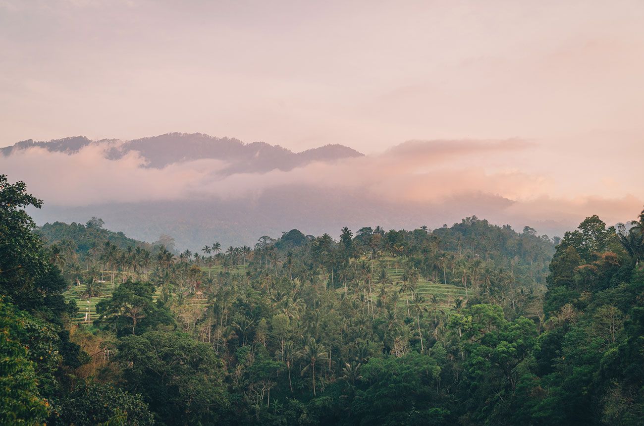 Sekumpul waterfall at sunset north Bali