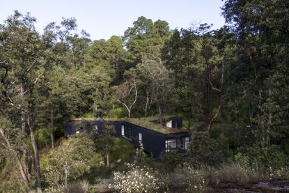 Cadaval Sola-Morales’s Casa de la Roca in Mexico is the perfect forest retreat