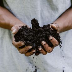 Hands holding soil