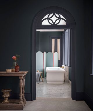 double drenched grey and dark green painted room leading into bathroom