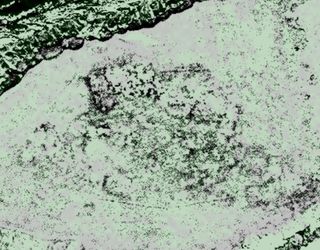 another viking site called point rosee was discovered using satellite imagery.