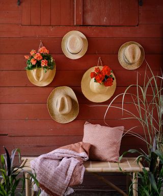 Terracotta painted plank wall with display of straw hats and planted geraniums.