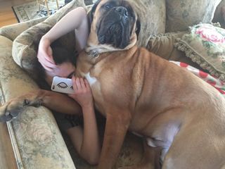 big dog cuddles owner