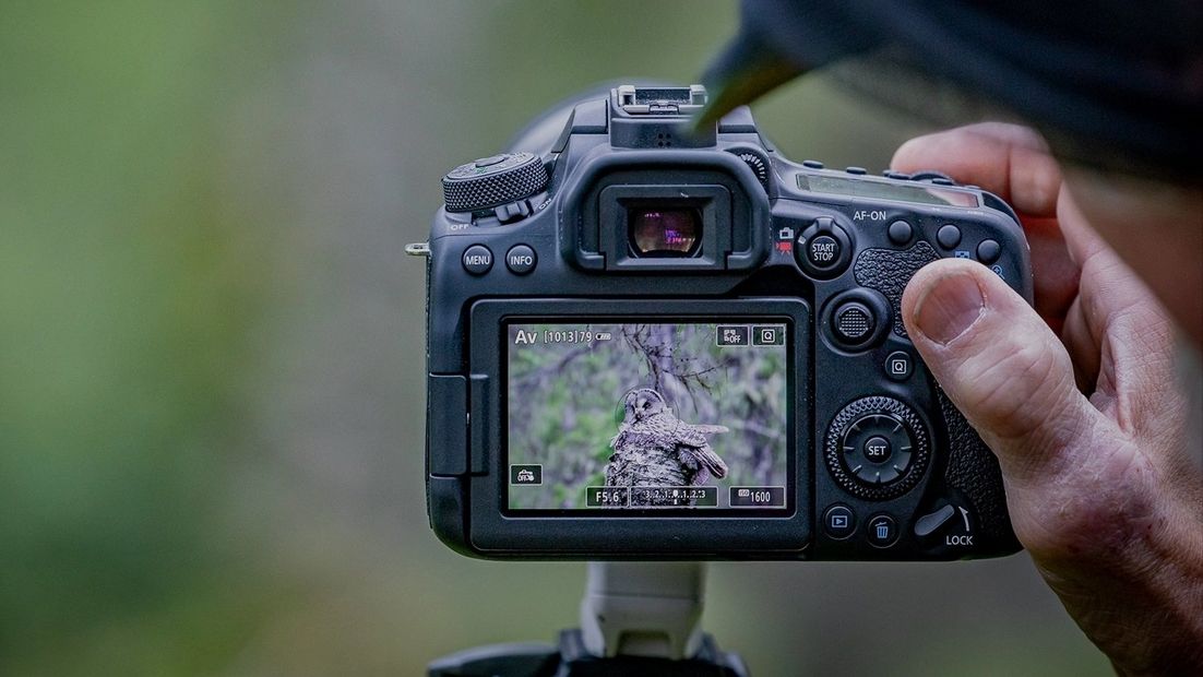 Best wildlife photography camera 2022 TechRadar