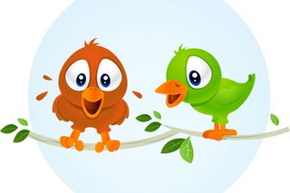 birds tweeting