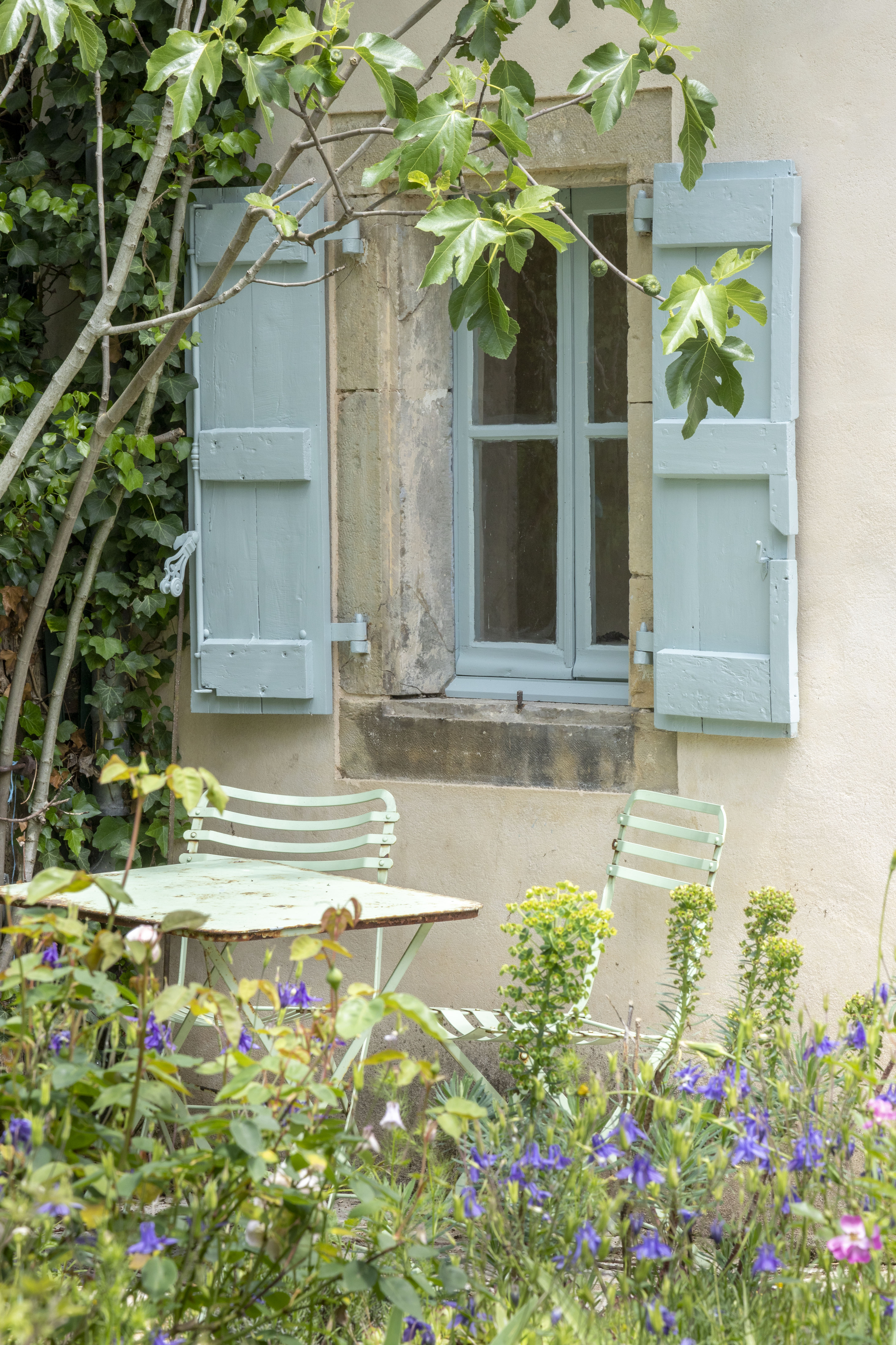 Paints and wallpapers