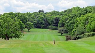 Puttenham Golf Club - Hole 2