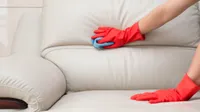 Best upholstery cleaners