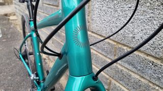 A close up of the reflective head badge on a green Cannondale bike