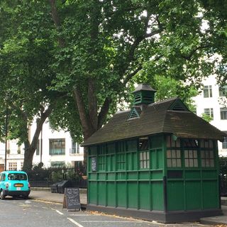 green cabbies shelter