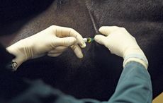 flu-jab.jpg