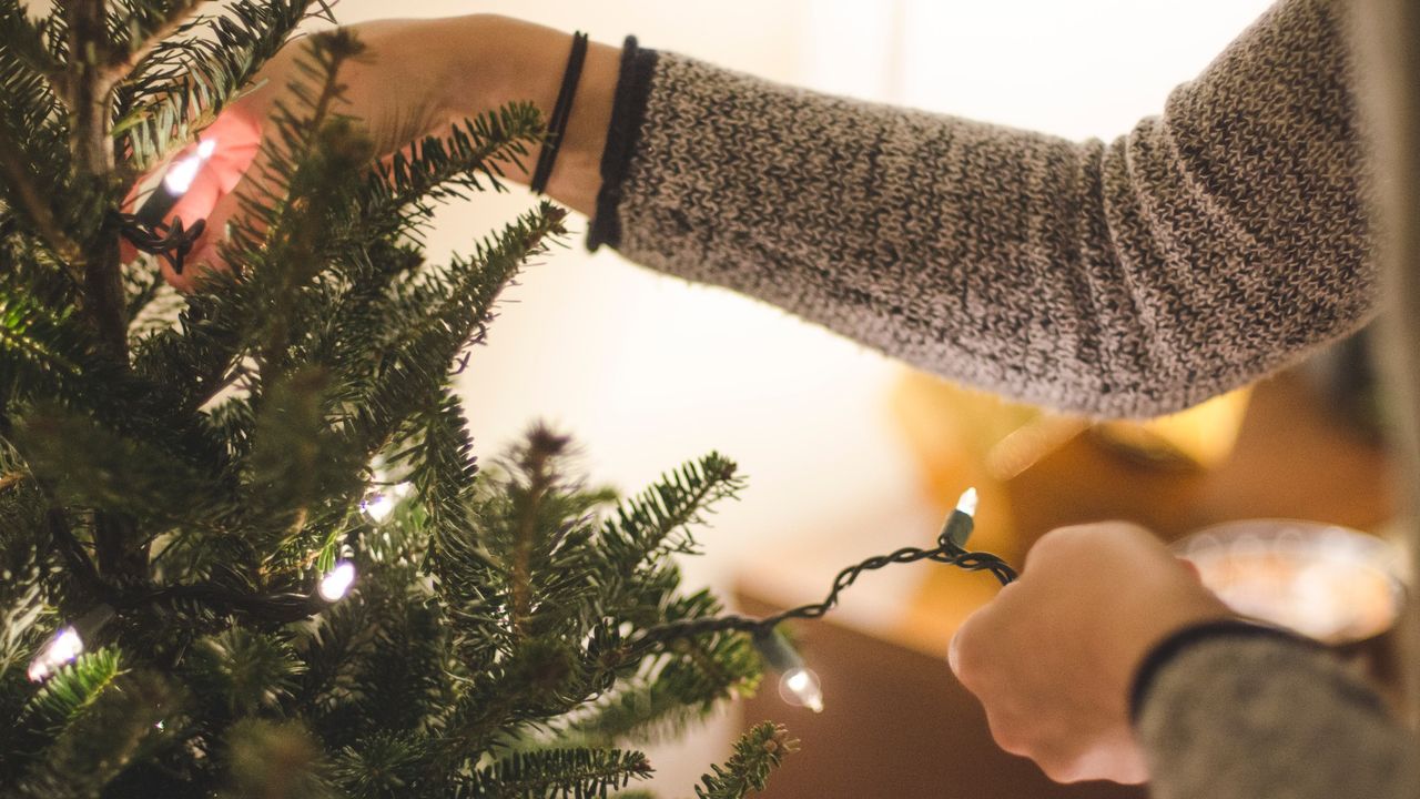 Christmas Tree decorating