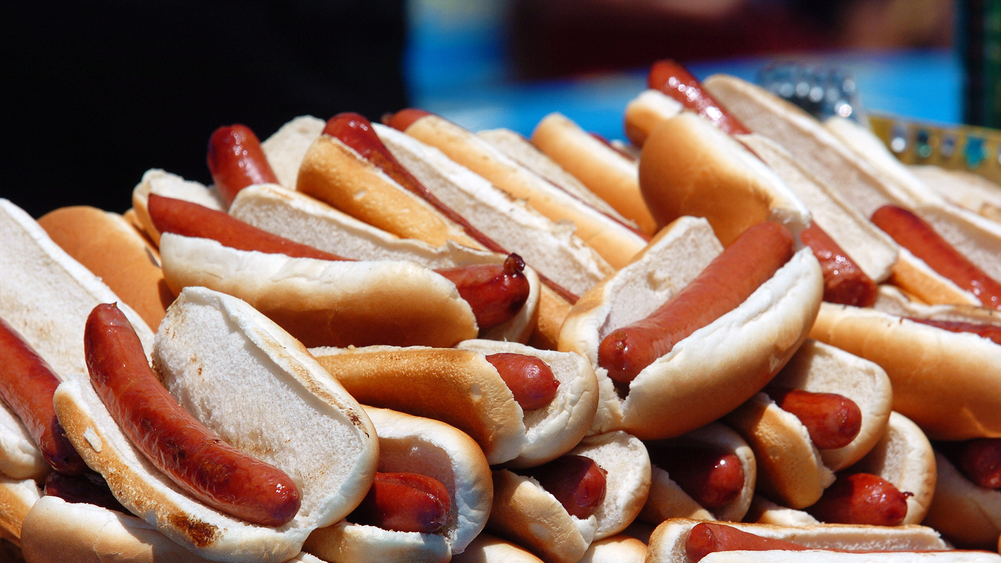 Racing Sausage Week!: The Hot Dog