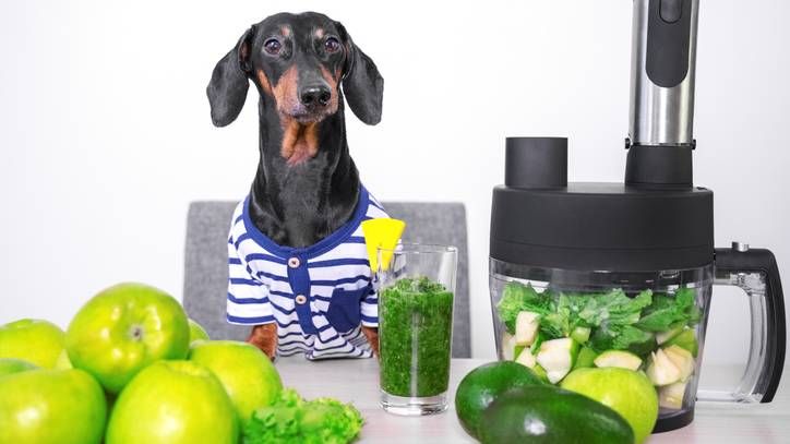 6 easy dog smoothies your pooch will love | PetsRadar