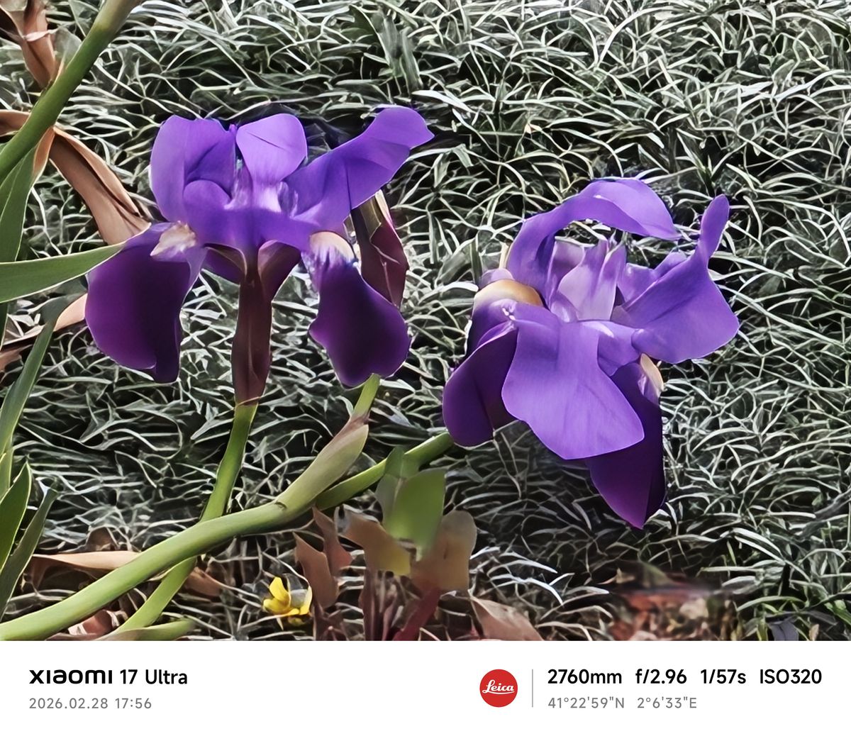 Xiaomi 17 Ultra camera sample zoom 120x 10MB