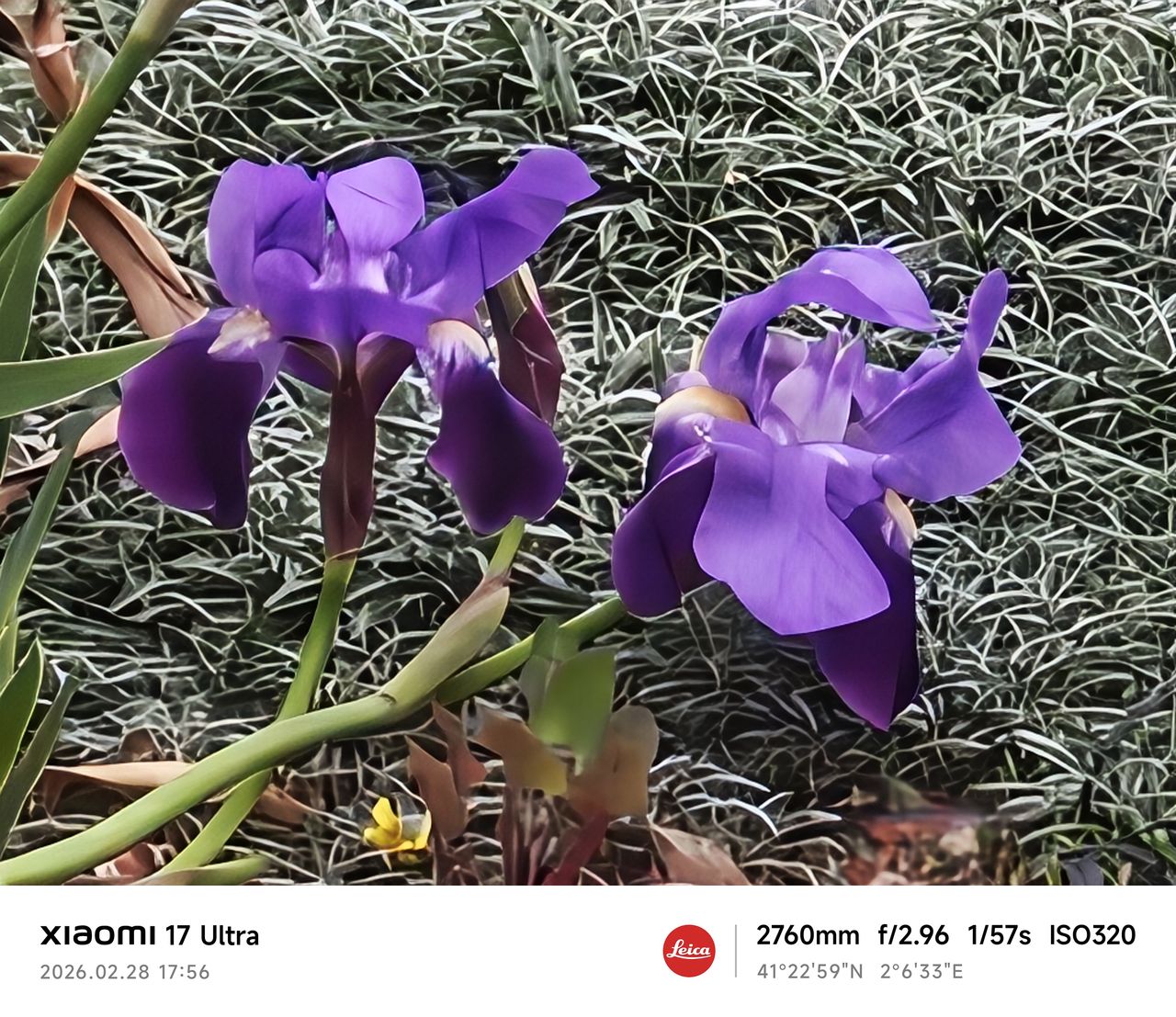 Xiaomi 17 Ultra camera sample zoom 120x 10MB