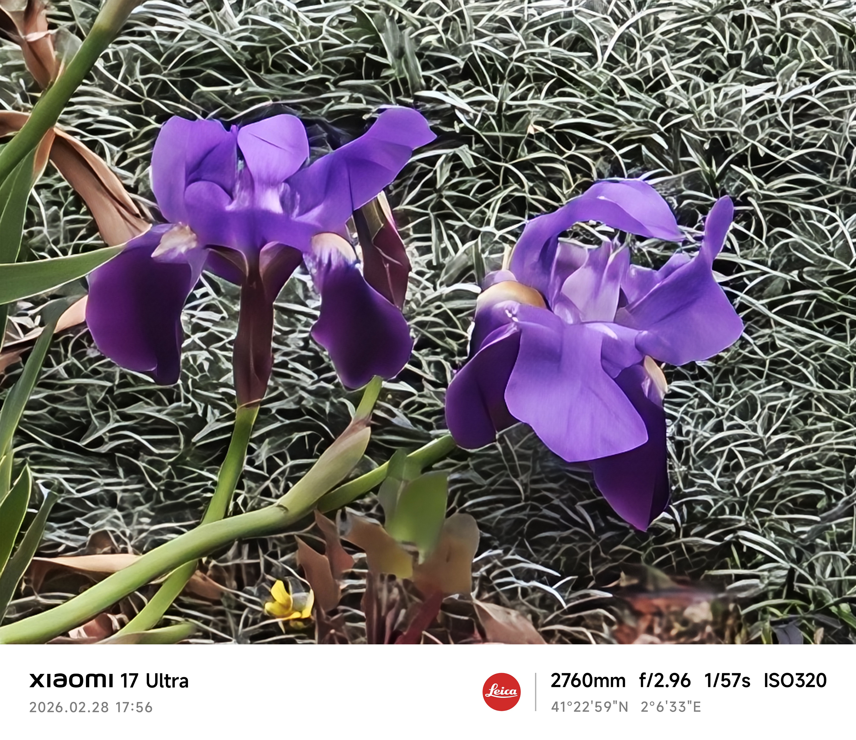 Xiaomi 17 Ultra camera sample zoom 120x 10MB