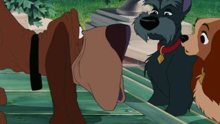 Jock, trusty, and Lady in Lady and the tramp