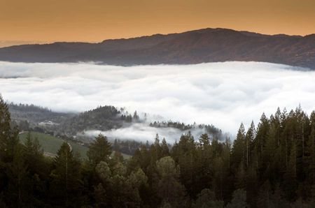 Howell Mountain 2022