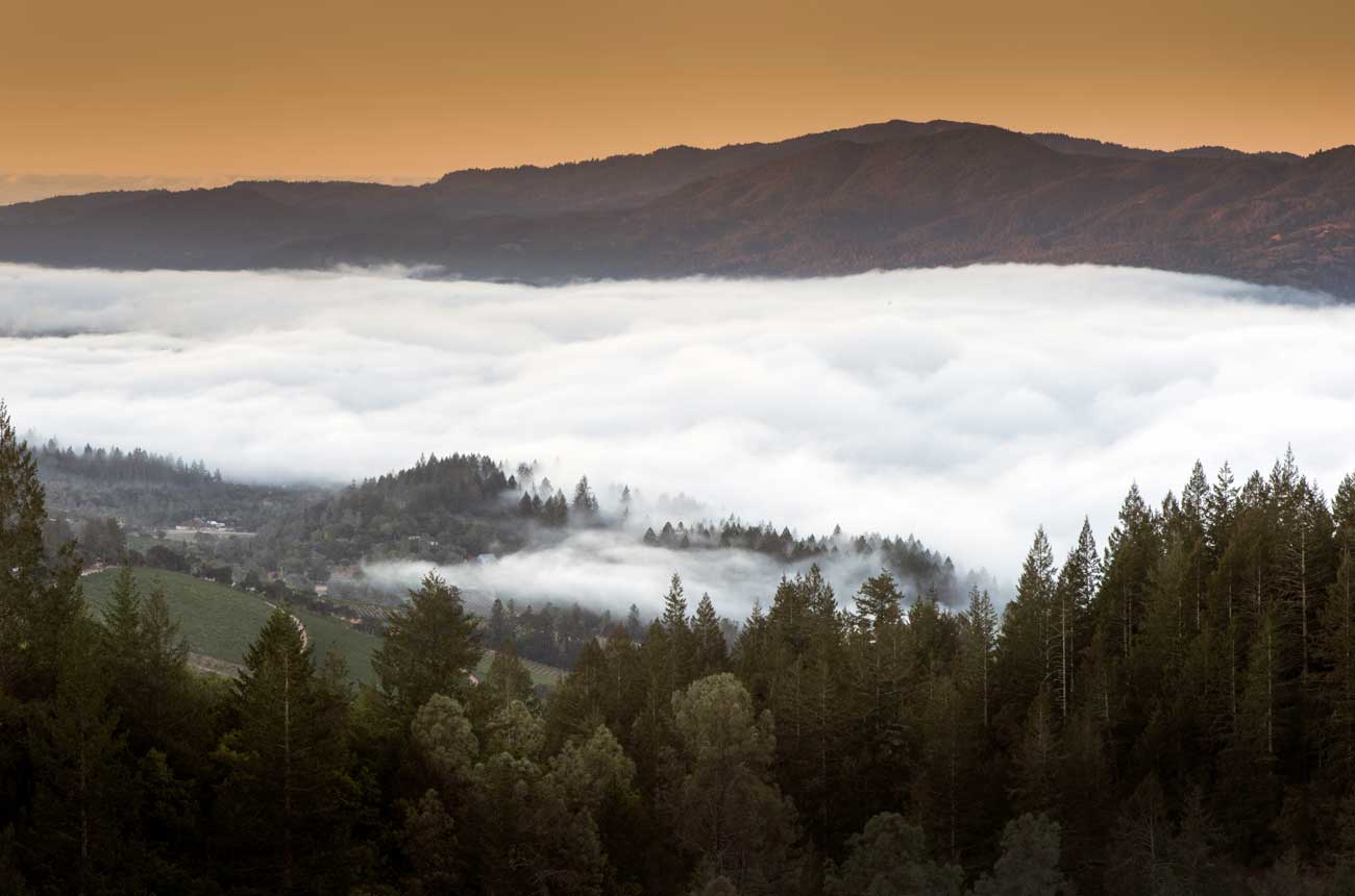 Howell Mountain 2022