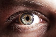 A close-up of an eye.
