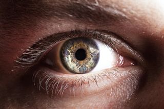 Brown Eye Part Of A Male Face Focus On Pupil Stock Photo