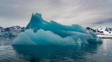 A large light blue glacier floating in the ocean