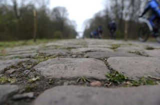 The cobbles of the Arenberg