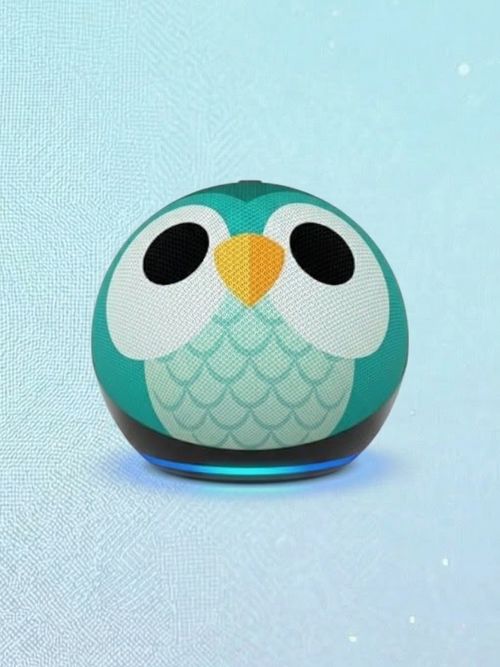 Amazon Echo Dot Kids