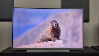 Sky Glass Air with animal on rock displayed