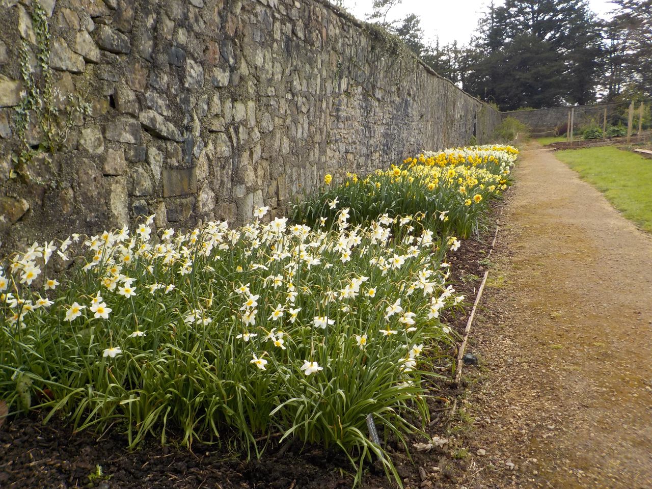 Nikon W150 review Image Samples