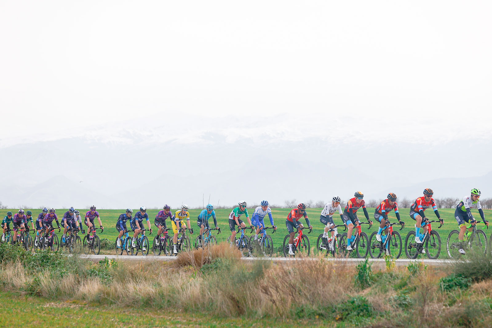 Vuelta a Andalucia Ruta Ciclista Del Sol 2023 - 69th Edition - 5th stage Otura - Alhaurin de la Torre 184,3 km - 19/02/2023 - Filippo Zana (ITA - Team Jayco AlUla) - photo Luis Angel Gomez/SprintCyclingAgency©2023