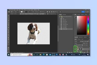 The sixth step to blurring a background on Photoshop