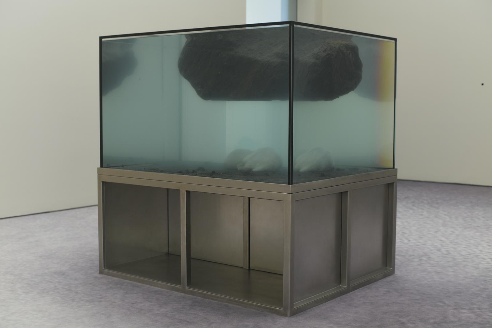 installation view of Pierre Huyghe at Fondation Beyeler