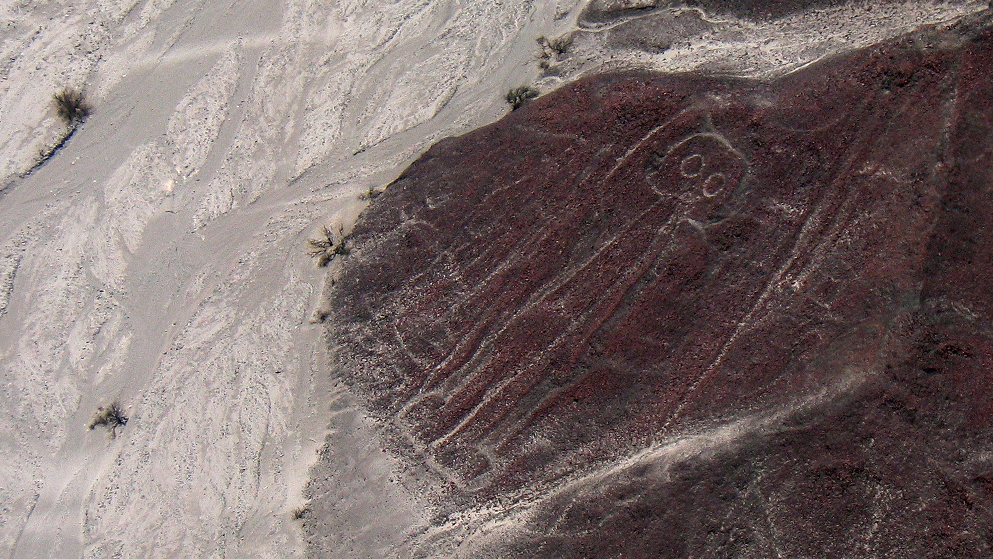 An aerial view of a man drawn in a landscape.