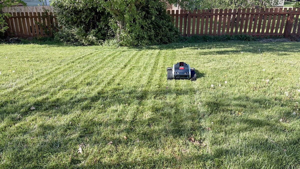 Lymow One Plus robot mower on a lawn