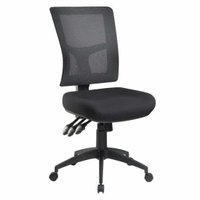 Pago Ergonomic Chair: