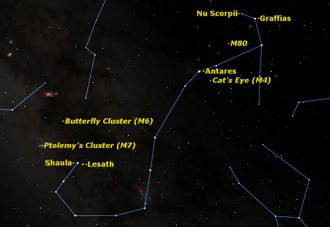 How To See A Night Sky Scorpion Constellation Scorpius Space