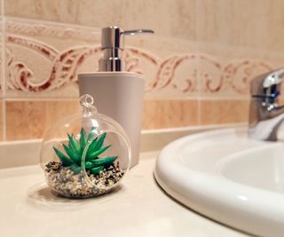 Terrarium in a bathroom