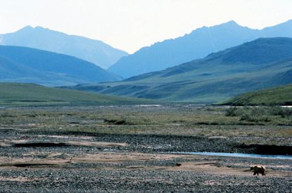 Alaska's Arctic National Wildlife Refuge