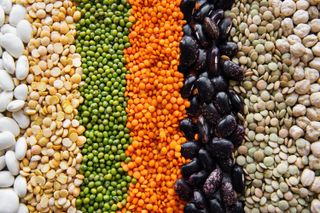 A collage of pulses and legumes that are high in protein