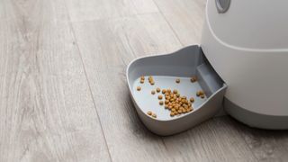 Automatic pet feeder