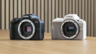 Deux Canon EOS R50 sur une table et en deux couleurs : noir et blanc.